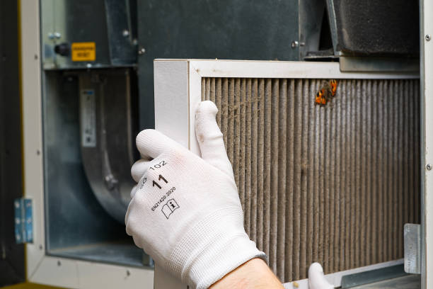 Best Professional Duct Cleaning Services  in White Plains, NC
